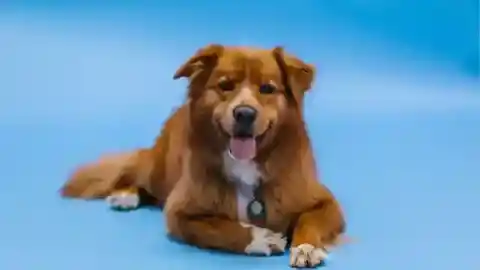 点と点をつなぐ