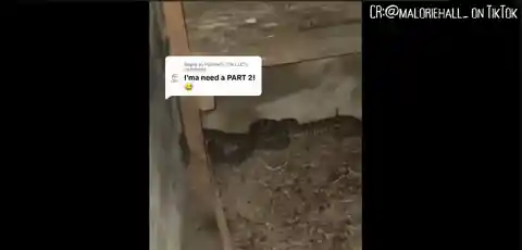 Snake Panic: Trapped in the Underground