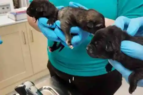 何かがおかしい