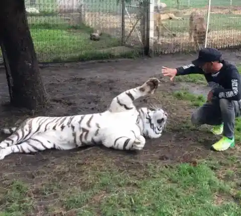 誰もがショックを受けた