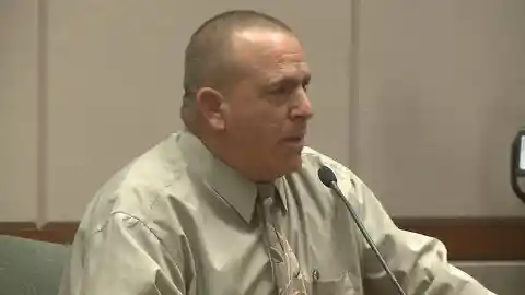 Wayne D’Amico Takes The Stand