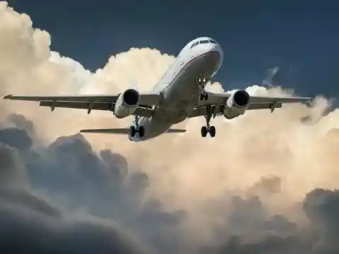 The trip back home