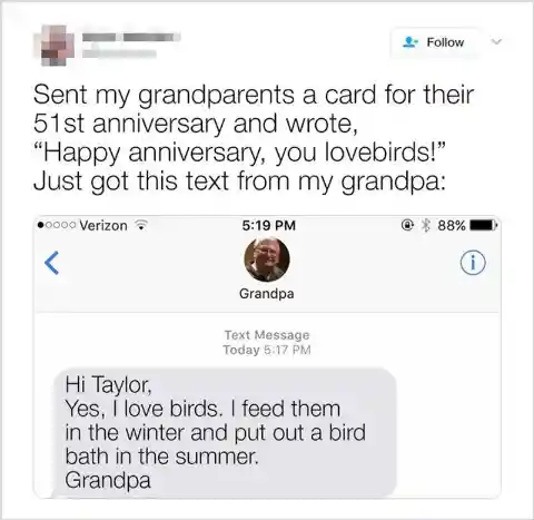 Grandpas and Birds