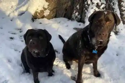 忘れられない夜