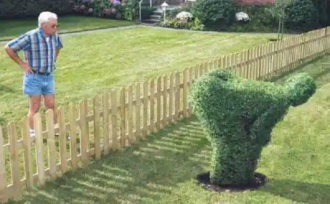 30+ Funny Landscaping Wins and Fails