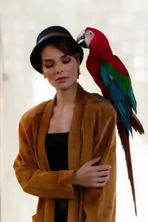 Parrot Named Rainbow