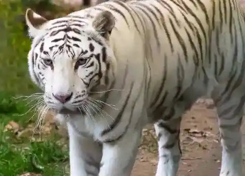 「彼女が僕の人生を変えた」