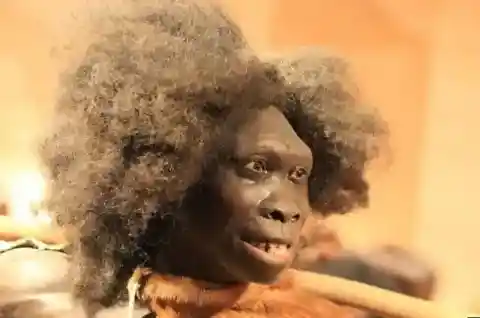 二つの種に属する存在