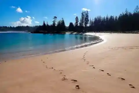 永久に失われたのか？