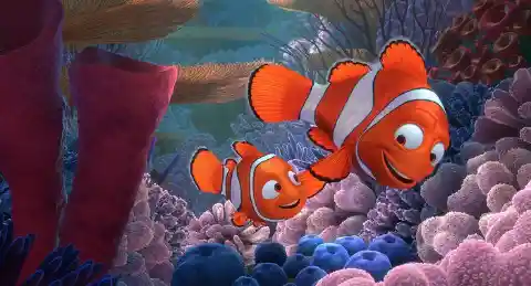 Nemo Not Found