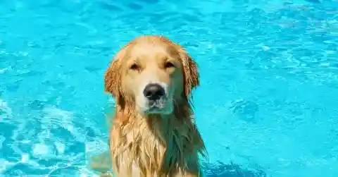 Reaching His Breaking Point