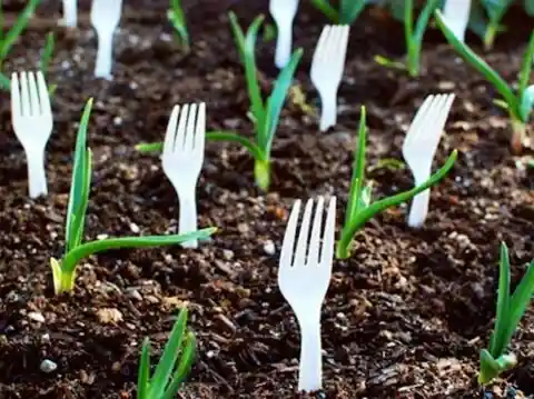 40 Genius Gardening Hacks for a Wonderful Harvest