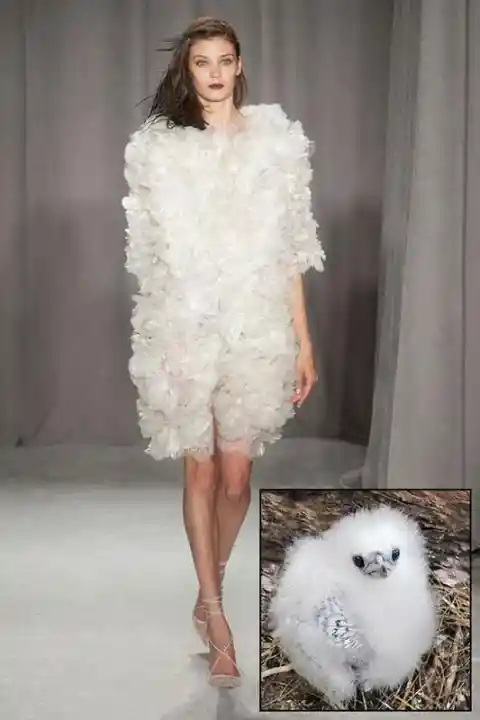 Unique & Funny Wedding Gowns