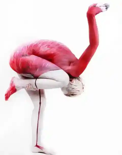 21. Flamingo in Flesh: A Fantasy in Pink